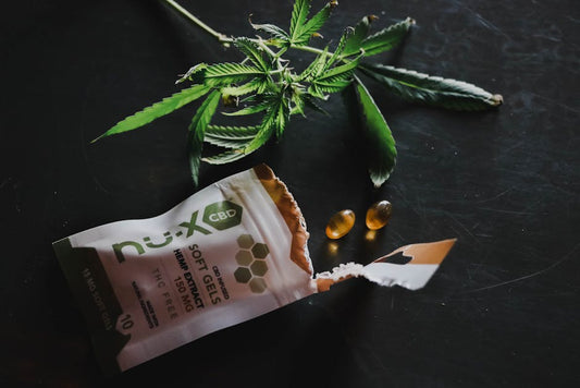 Does CBD Get You High? CBD vs THC & Hemp vs Marijuana