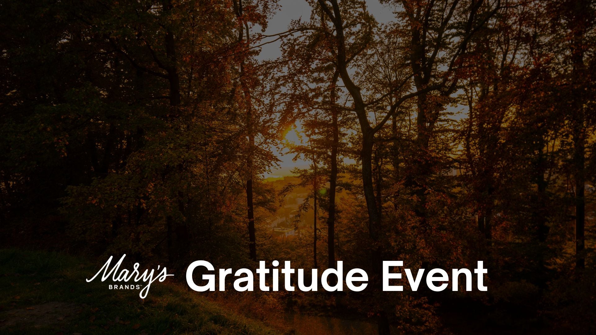 Forest scene with 'Mary's Brand Gratitude Event' text overlay